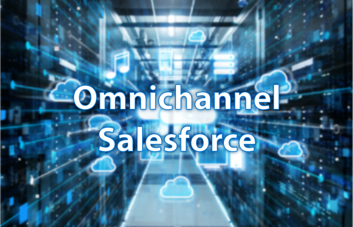The Key Features and Functionality of Omnichannel Salesforce
